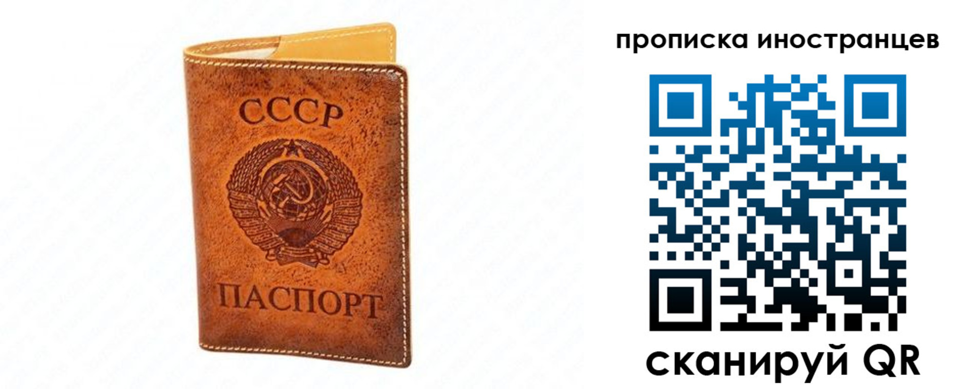 прописка для школы в Сургуте